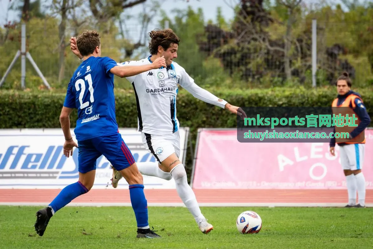 mksports官网地址分区更新日志板块入口卡片
