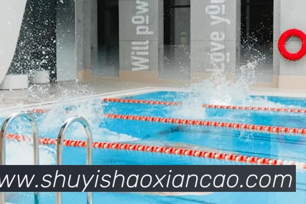 多媒体互动体验